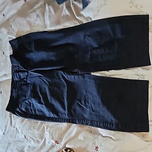 Ann Taylor cropped pants, size 10, navy blue